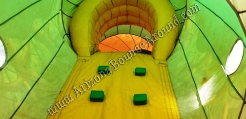 Safari themed inflatables for rent in Peoria Arizona.jpg